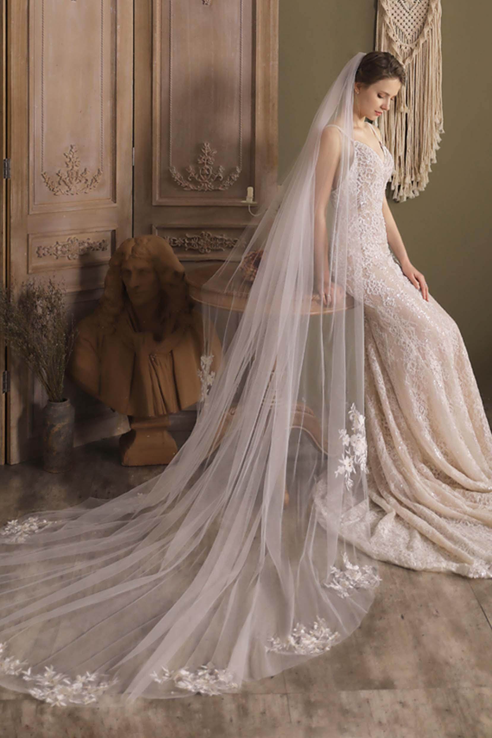 One-tier Cut Edge Tulle Cathedral Veils with Appliques CV0297 - COCOMELODY